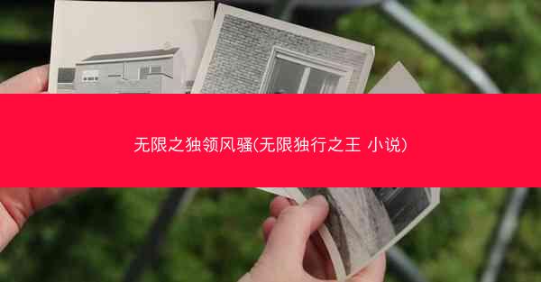 无限之独领风骚(无限独行之王 小说)